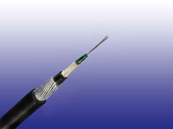 Fiber Optic Cables