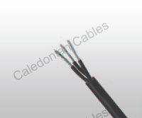 3GKW-RW/S EMC 0.6/1KV Railway Cables