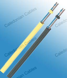 ASI-Bus Cable