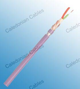 Profibus L2 Torsion + Festoon Bus Cable