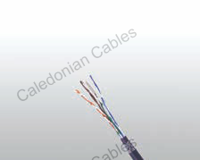 CAT6 CWB/SWB/SWA Armoured Data Cable