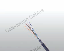 CAT5E CWB/SWB/SWA Armoured Data Cable