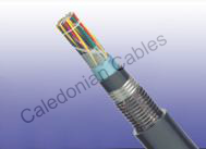 Foam Skin Insulated & AP Sheathed (ALPETH) Jelly Filled Cables to ICEA ...