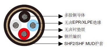 P1或P1/P8 RFOU/TFOU 0.6/1KV