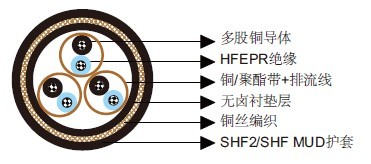 S1或S1/S5 RFOU(i) 250V