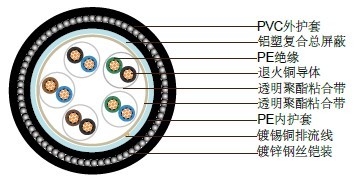 PAS5308第一部分2类 PE绝缘+总屏蔽+铠装+PVC护套