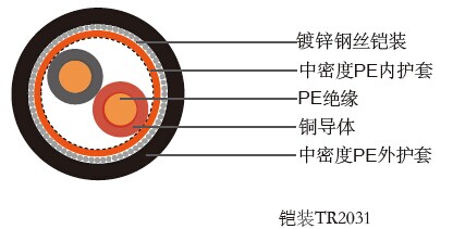 铠装TR2031